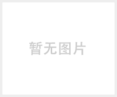 启盈QY-S3-700冲压机械手